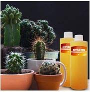 Gift-ready Onisavings fragrance oil set for occasions
