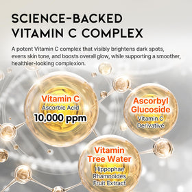 OOTD Vitamin C Serum ingredients Vitamin Tree Water highlights nourishing components