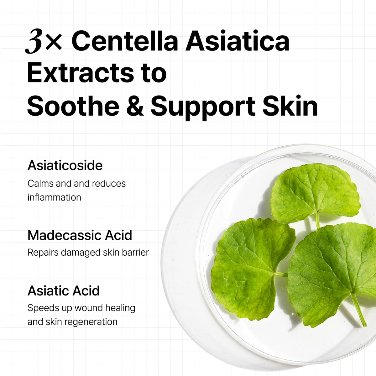 OOZNARY Vita 3 pudding cream centella complex soothing redness and barrier support