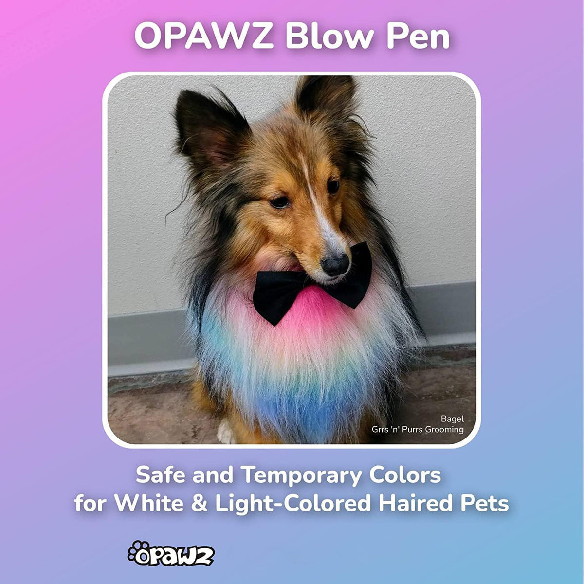 OPAWZ Tattoo stencil collection shows reusable designs for pet art