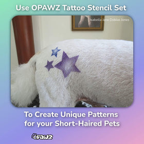 OPAWZ Washable dye removable with shampoo for easy color refresh