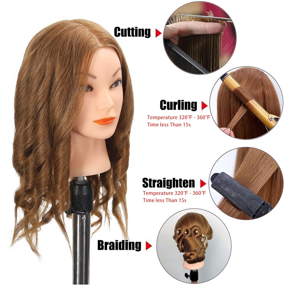 Opini mannequin head length from forehead to back hair end is 22–24 inches for versatile styling drills.