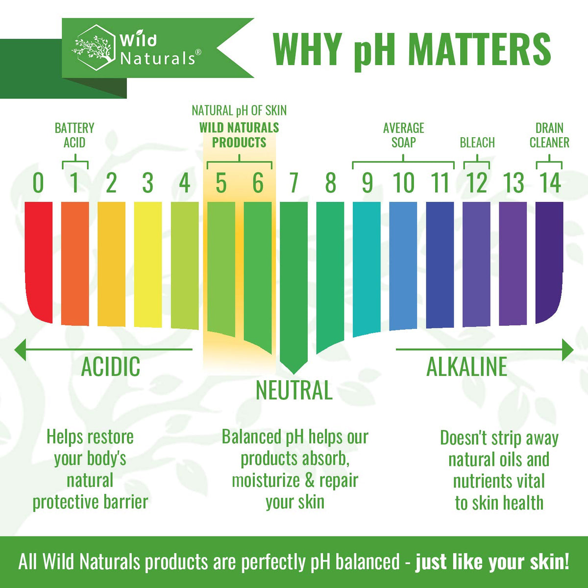 Organic ingredients like coconut oil and aloe featured in the formula.