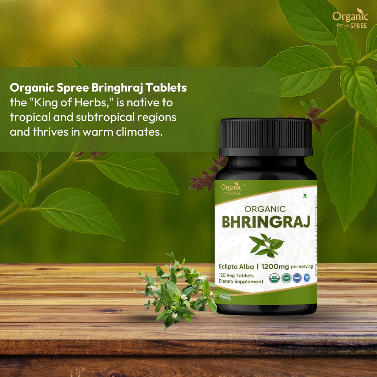 Close-up of Organic Spree Bhringraj tablets highlighting convenient supplementation.