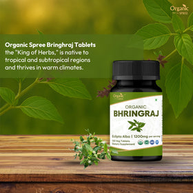 Close-up of Organic Spree Bhringraj tablets highlighting convenient supplementation.