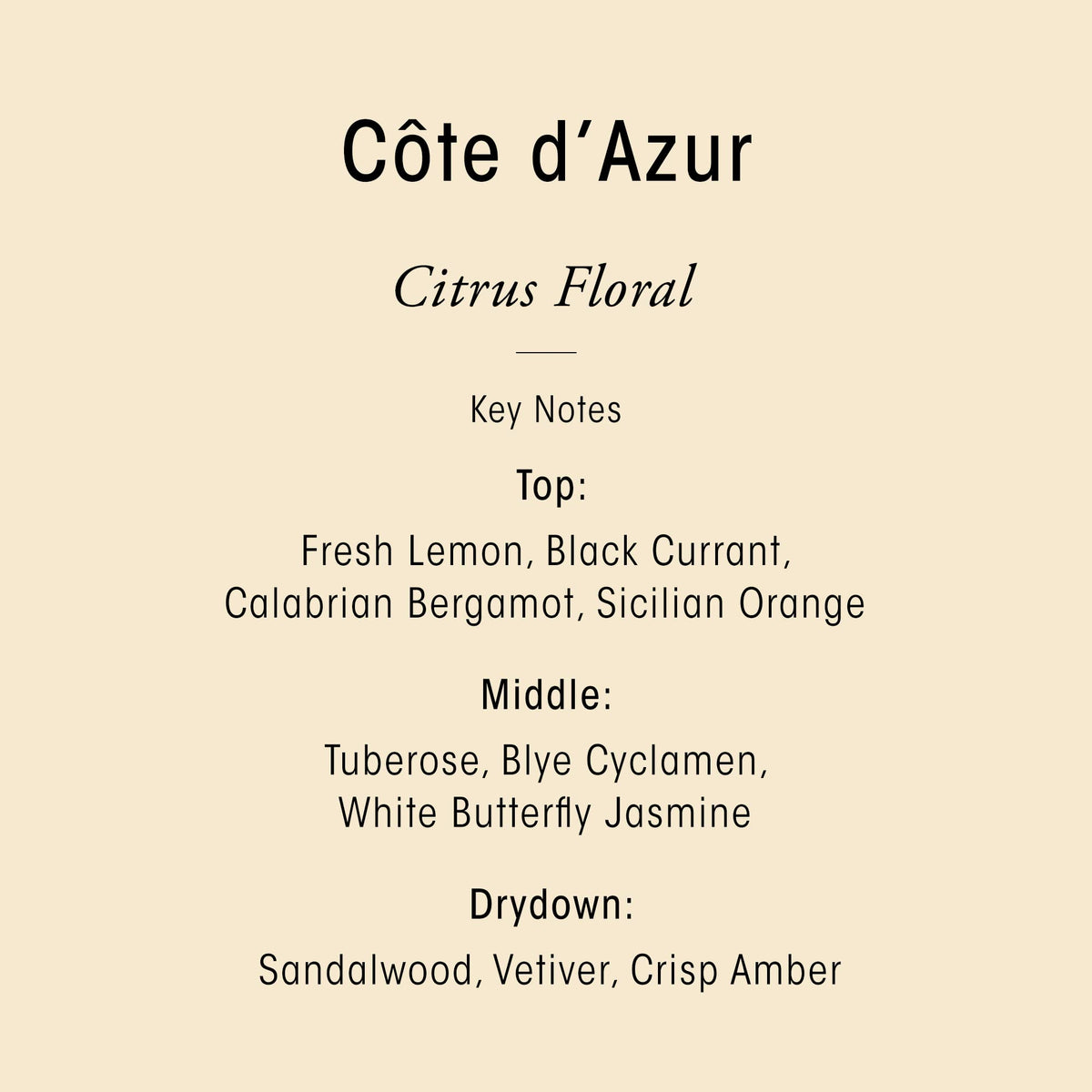 Oribe Côte d’Azur Nourishing Hand Crème shea butter close-up signals deep hydration.