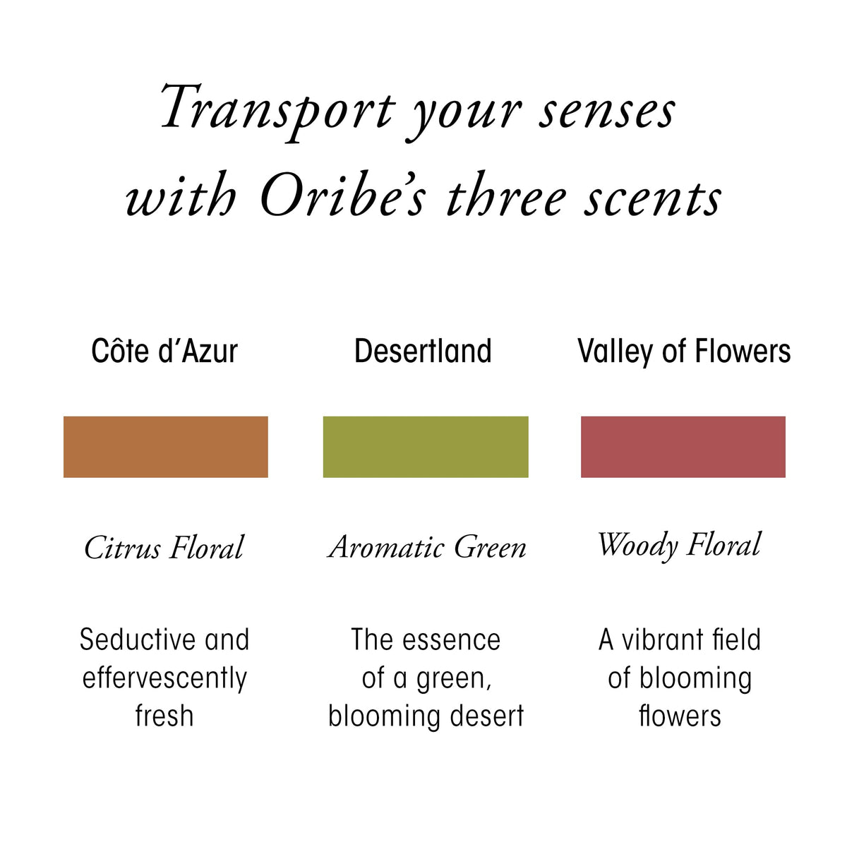 Oribe Côte d’Azur shower routine scene with rich foam and scent.