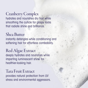 Oribe Run-Through Detangling Shampoo detangling action demonstrates knot reduction