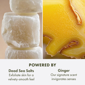 Origins Ginger Smoothing Oils close-up highlights nourishing macadamia and other oils.