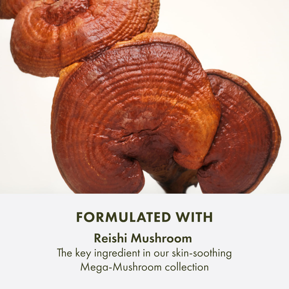 Origins Mega-Mushroom Micellar Cleanser eye makeup removal option