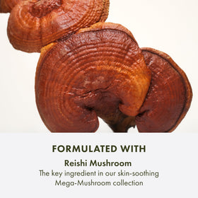 Origins Mega-Mushroom Micellar Cleanser eye makeup removal option