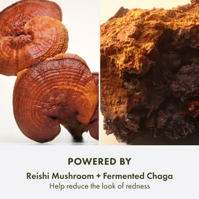Origins Mega-Mushroom Moisturizer jar with clean ingredients visually reinforcing barrier support.