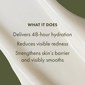 Origins Mega-Mushroom Moisturizer ingredient spotlight: Fermented Chaga and Reishi mushrooms.