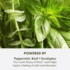 Origins Peace of Mind Scrub vegan formula with calming peppermint and eucalyptus.