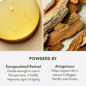 Origins Plantscription Anogeissus demonstrates support for collagen-related benefits