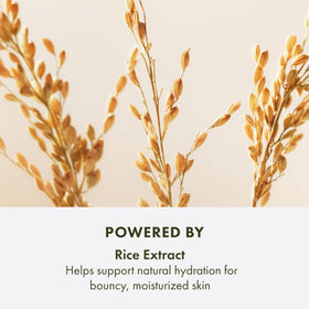 Origins Plantscription on dresser supports daily hydration and smoother skin.