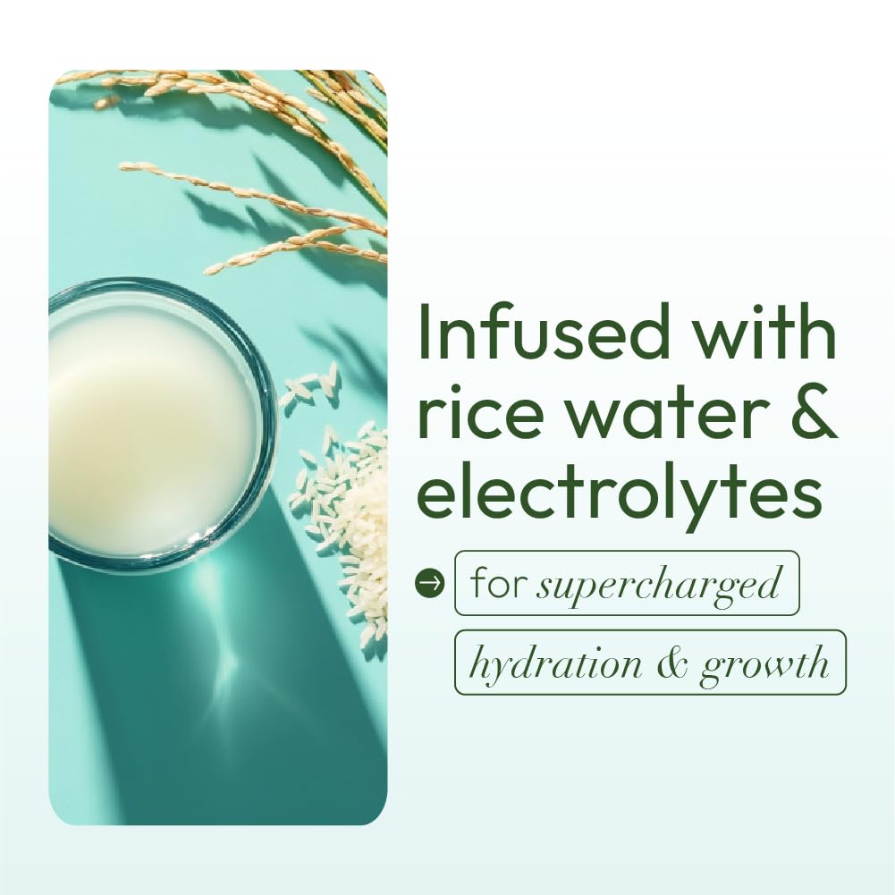 Applying ORS leave-in conditioner to damp hair provides even hydration