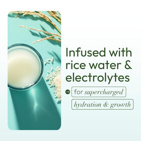 Applying ORS leave-in conditioner to damp hair provides even hydration