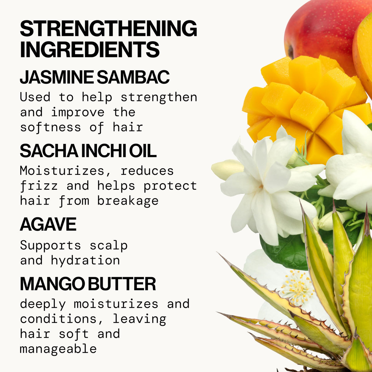 Pacifica Jasmine Agave Shampoo texture, creamy lather cleanses without sulfates