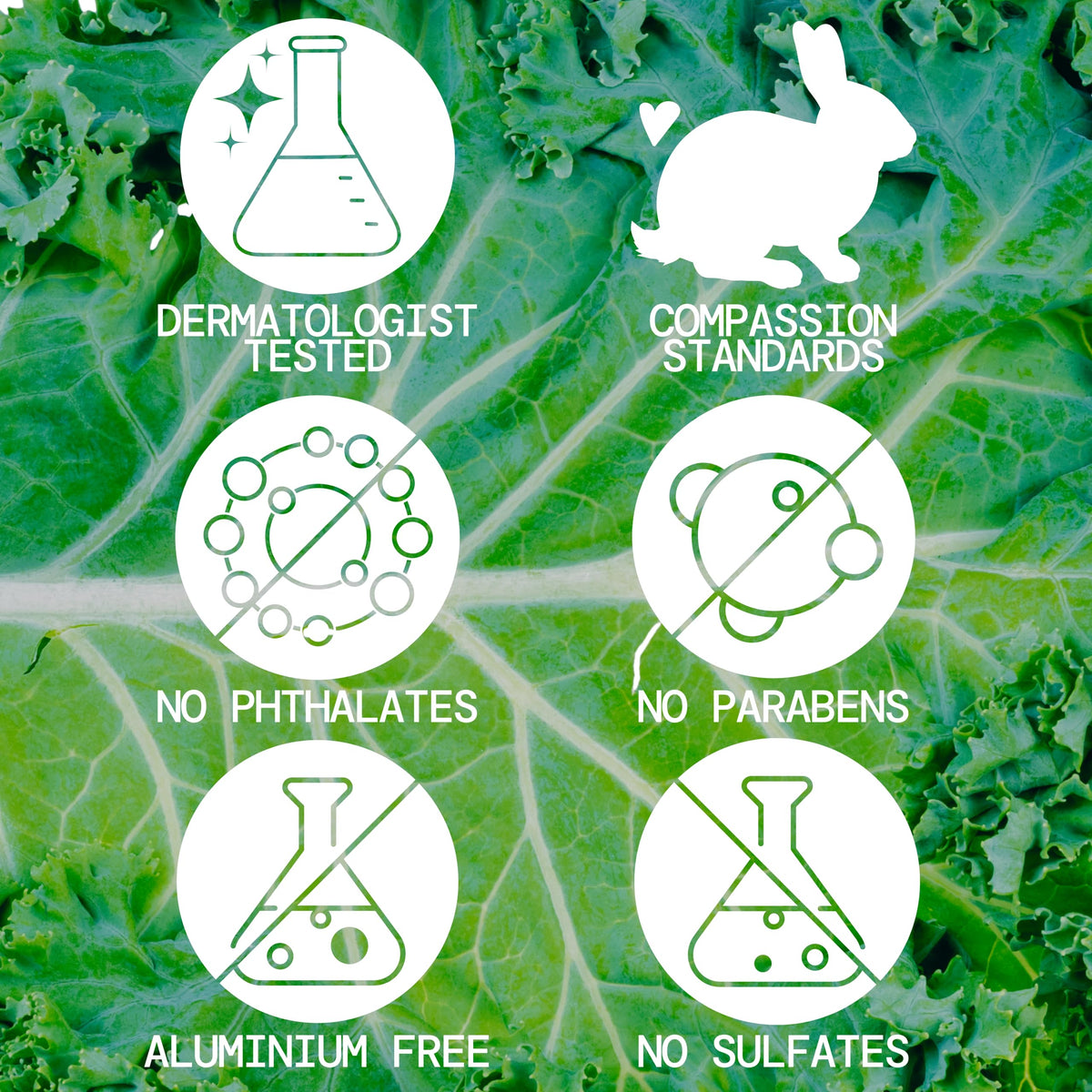 Pacifica Kale Smoothie Face Lotion label front highlights vegan, cruelty-free formulation.