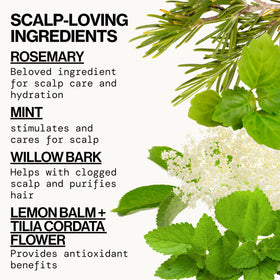 Pacifica Rosemary Mint scent visual suggests spa-like mint aroma.