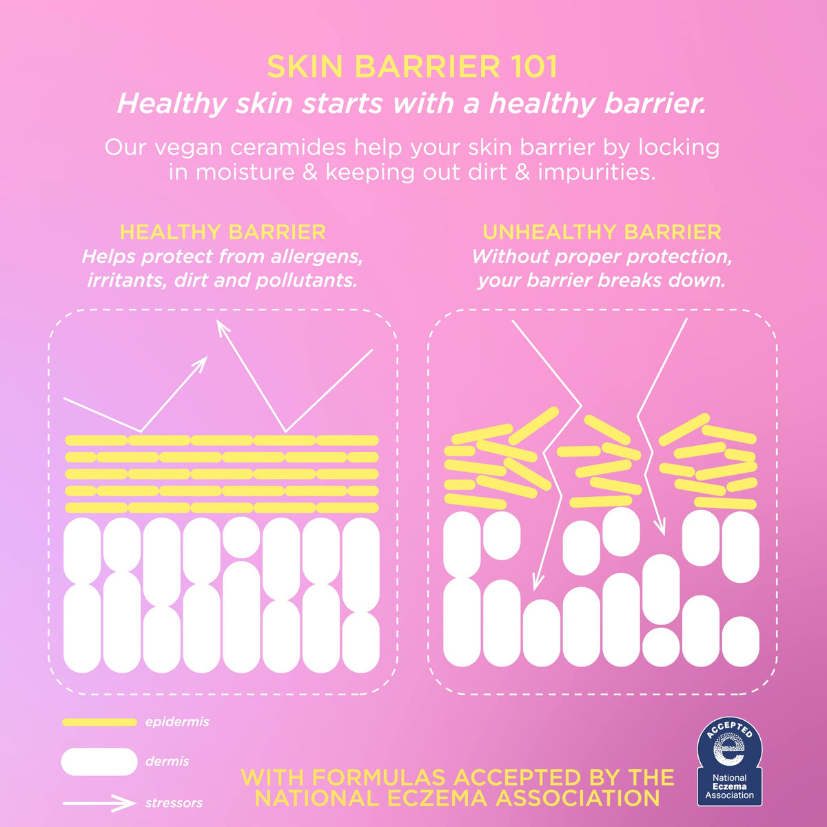 Pacifica Vegan Ceramide Eye Cream packaging label, fragrance-free and suitable for sensitive skin.