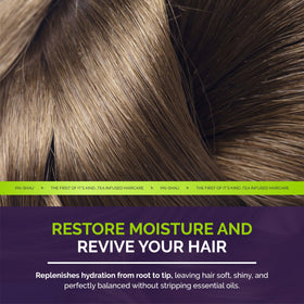 Pai-Shau Replenishing Cleanser infused with Signature Tea Complex supports scalp vitality.