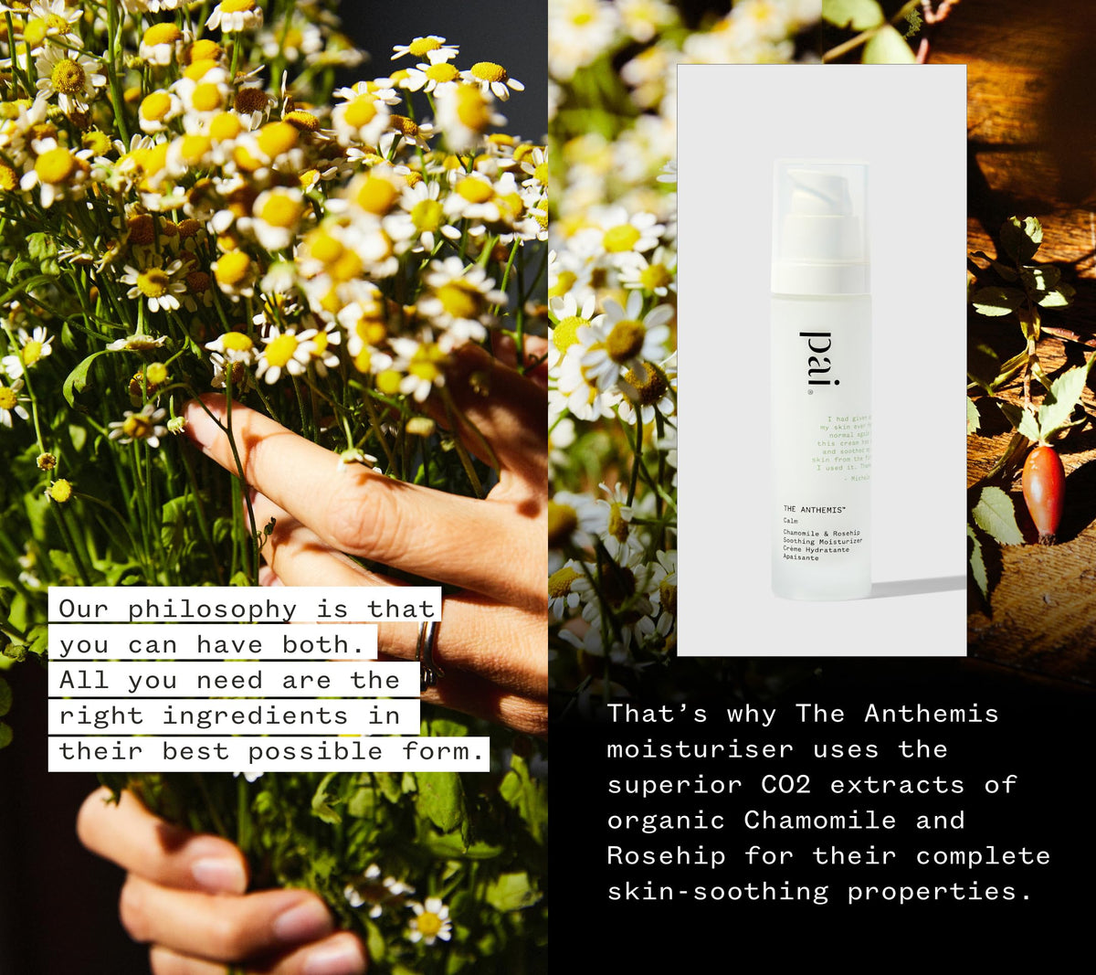 PAI SKINCARE Anthemis highlights rosehip and chamomile ingredients for soothing effects