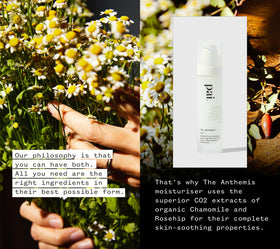 PAI SKINCARE Anthemis highlights rosehip and chamomile ingredients for soothing effects