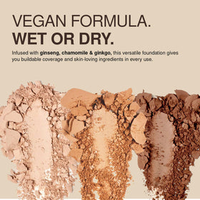 Damp-application sponge used with Palladio foundation for light to medium coverage