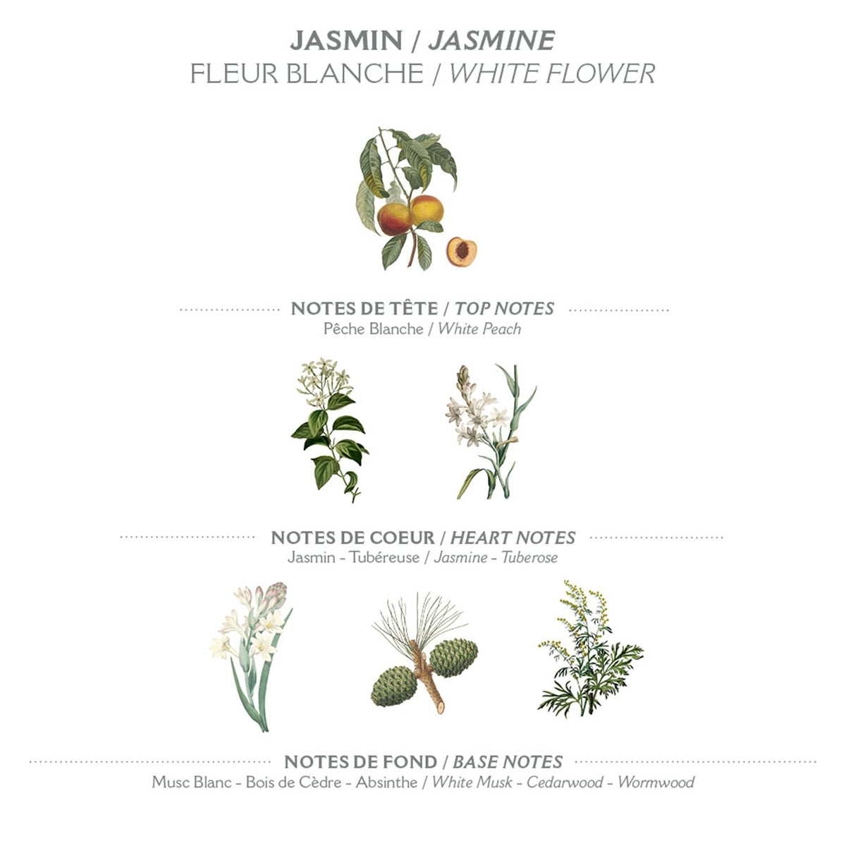 Ingredients highlighting olive oil and almond oil in Panier des Sens hand cream.