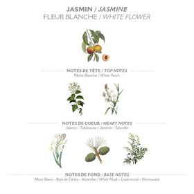 Ingredients highlighting olive oil and almond oil in Panier des Sens hand cream.