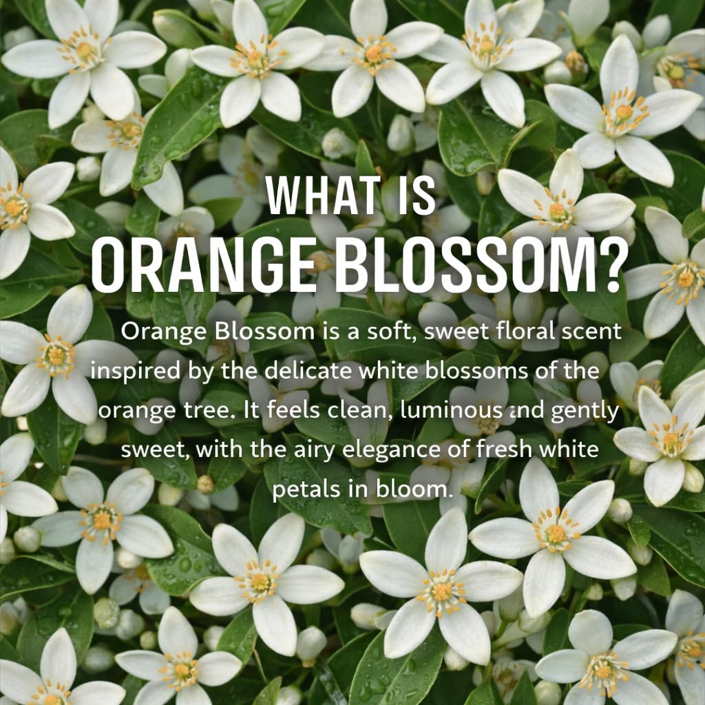 Panier des Sens Orange Blossom scent spray closeup emphasizes premium perfumery quality