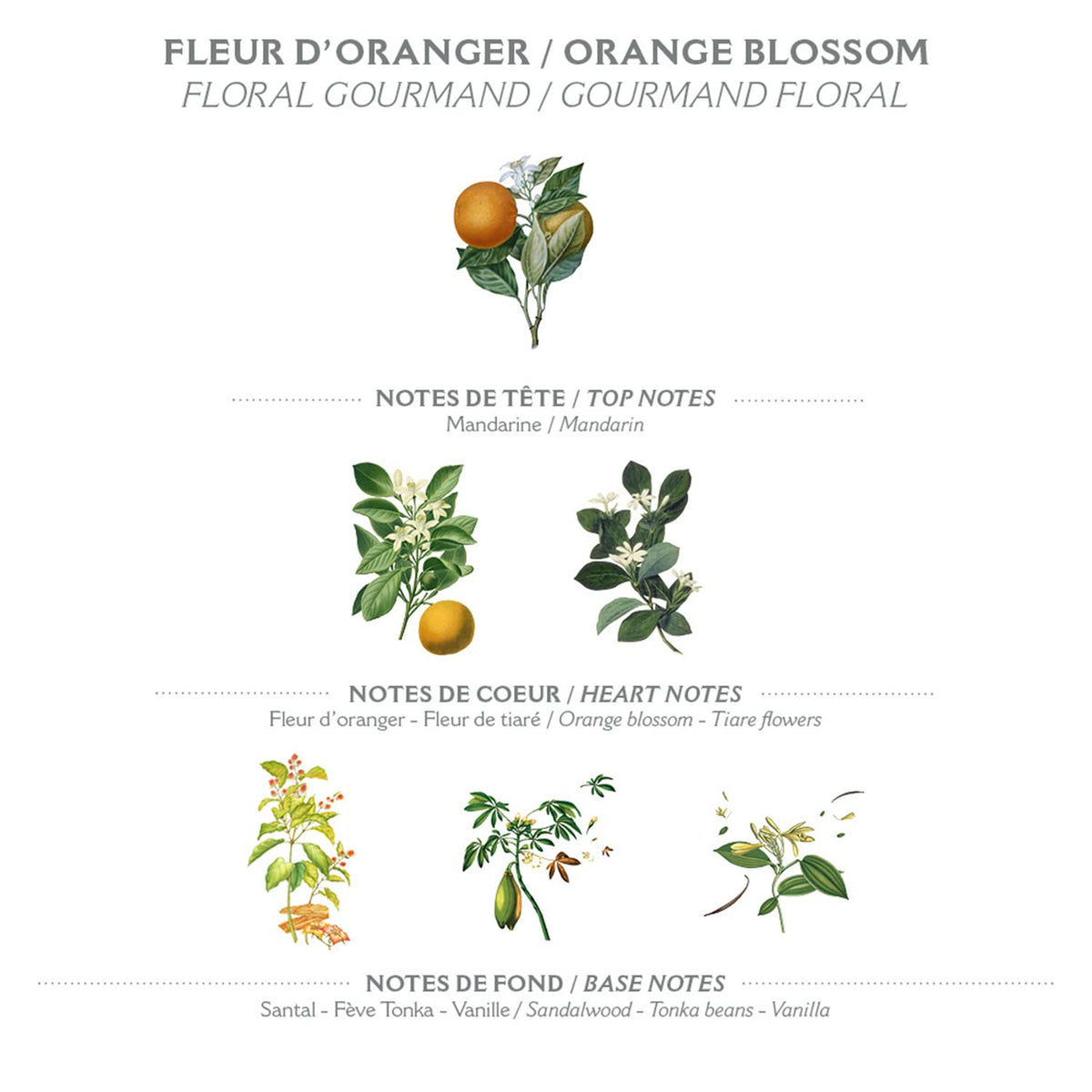 Panier des Sens orange blossom soap bar olive oil infusion implies nourishing hydration