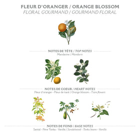 Panier des Sens orange blossom soap bar olive oil infusion implies nourishing hydration