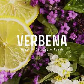 Panier des Sens Verbena hand soap pump top for easy refills