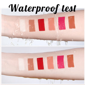 PARAMISS brown nude pigment powder creates versatile neutral tones