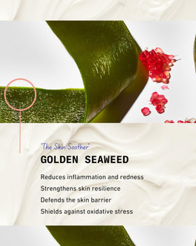 Golden Seaweed Extract in Pash Skin Protection supports barrier integrity and moisture retention.