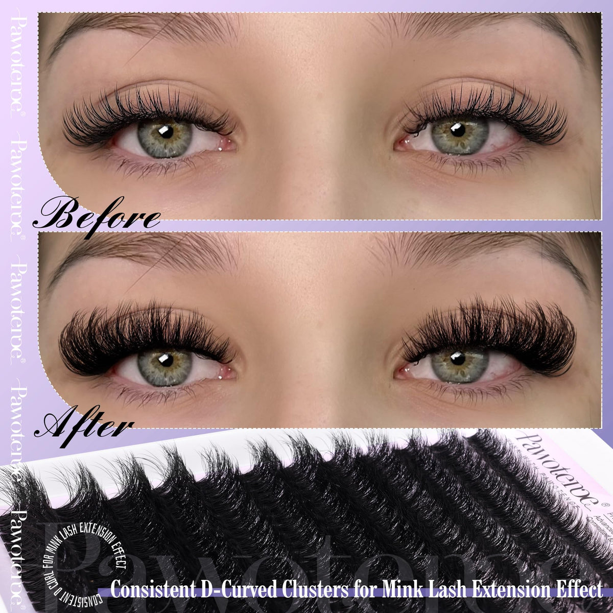 Pawotence DIY-application steps guiding easy at-home lash setup