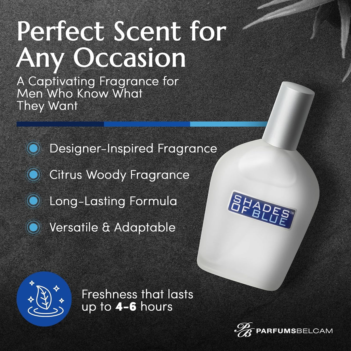 PB ParfumsBelcam Shades of Blue packaging box, value-conscious gifting idea.