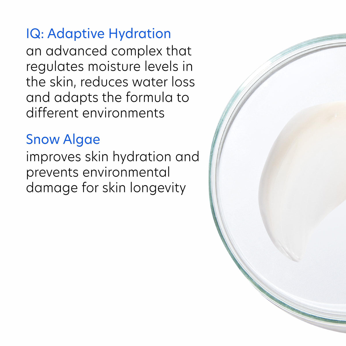 PCA SKIN HydraLuxe Chicory Leaf Extract emphasizing collagen and elastin support