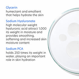 PCA SKIN Hydrating Serum ingredients close-up, antioxidants and humectants supporting moisture.