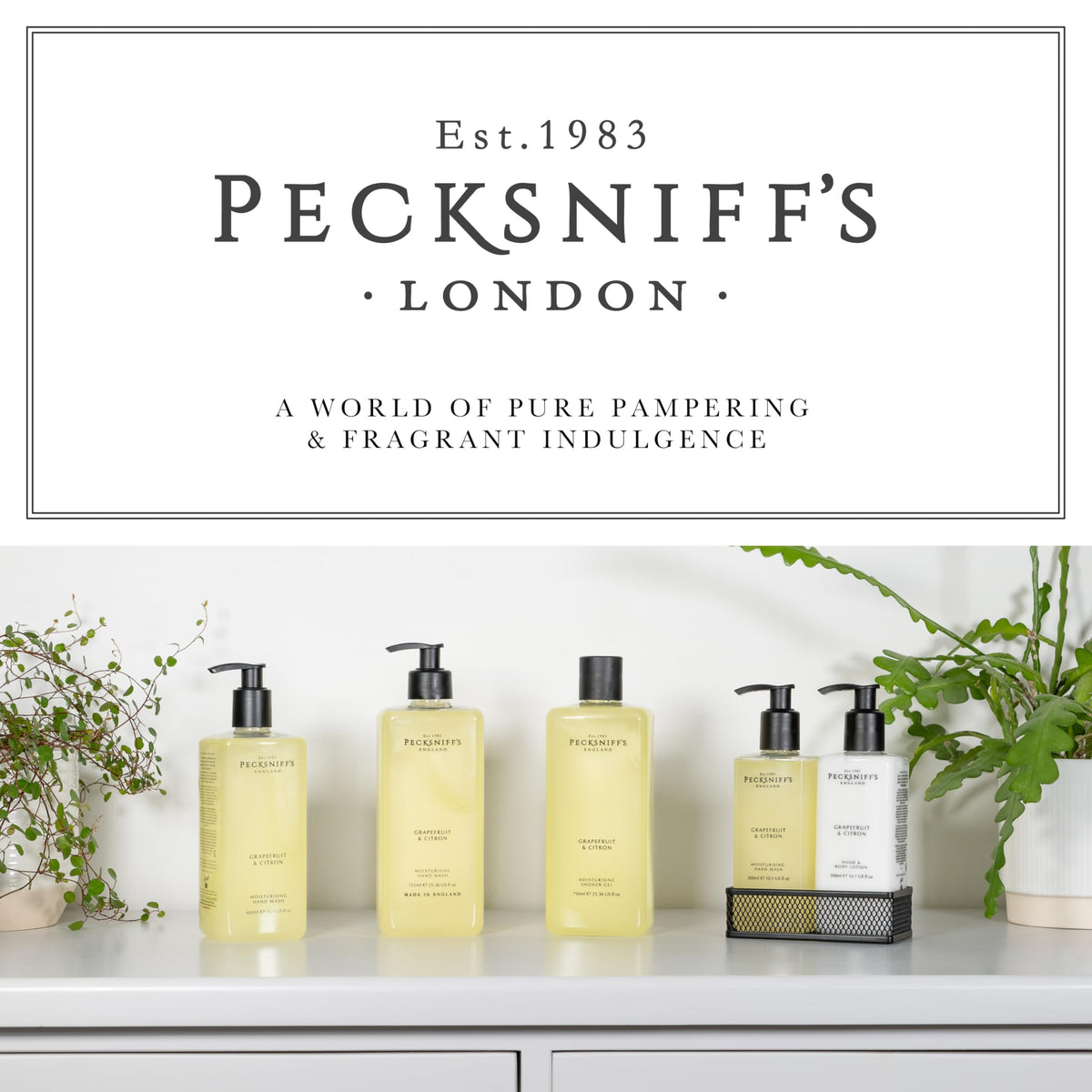 Pecksniff's Grapefruit & Citron hand wash bathroom scene conveys everyday luxury and fresh scent.
