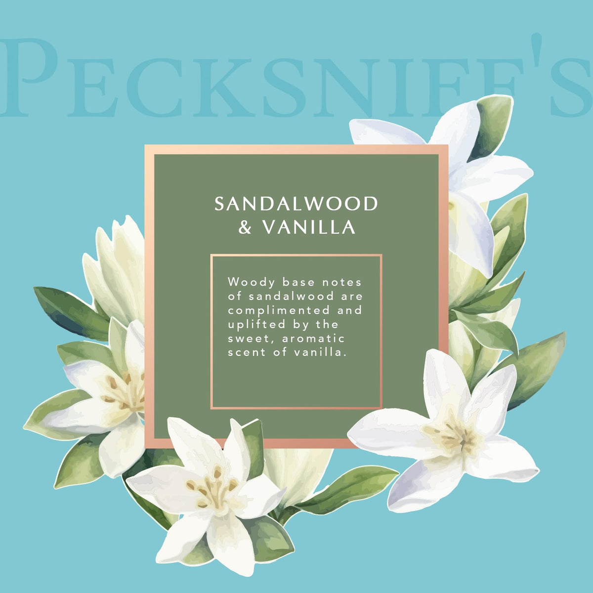 Pecksniff's Lotion bottle provides rich moisture for nourished skin.