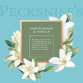 Pecksniff's Lotion bottle provides rich moisture for nourished skin.