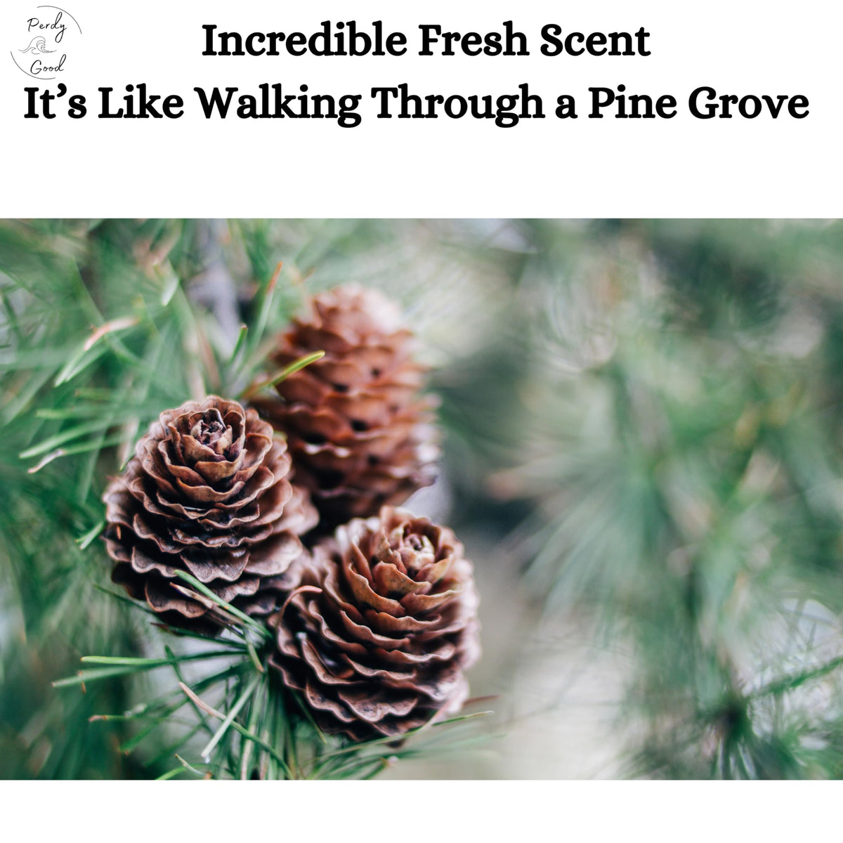 Perdy Good Lightfoot pine soap in a shower scene for refreshing mornings