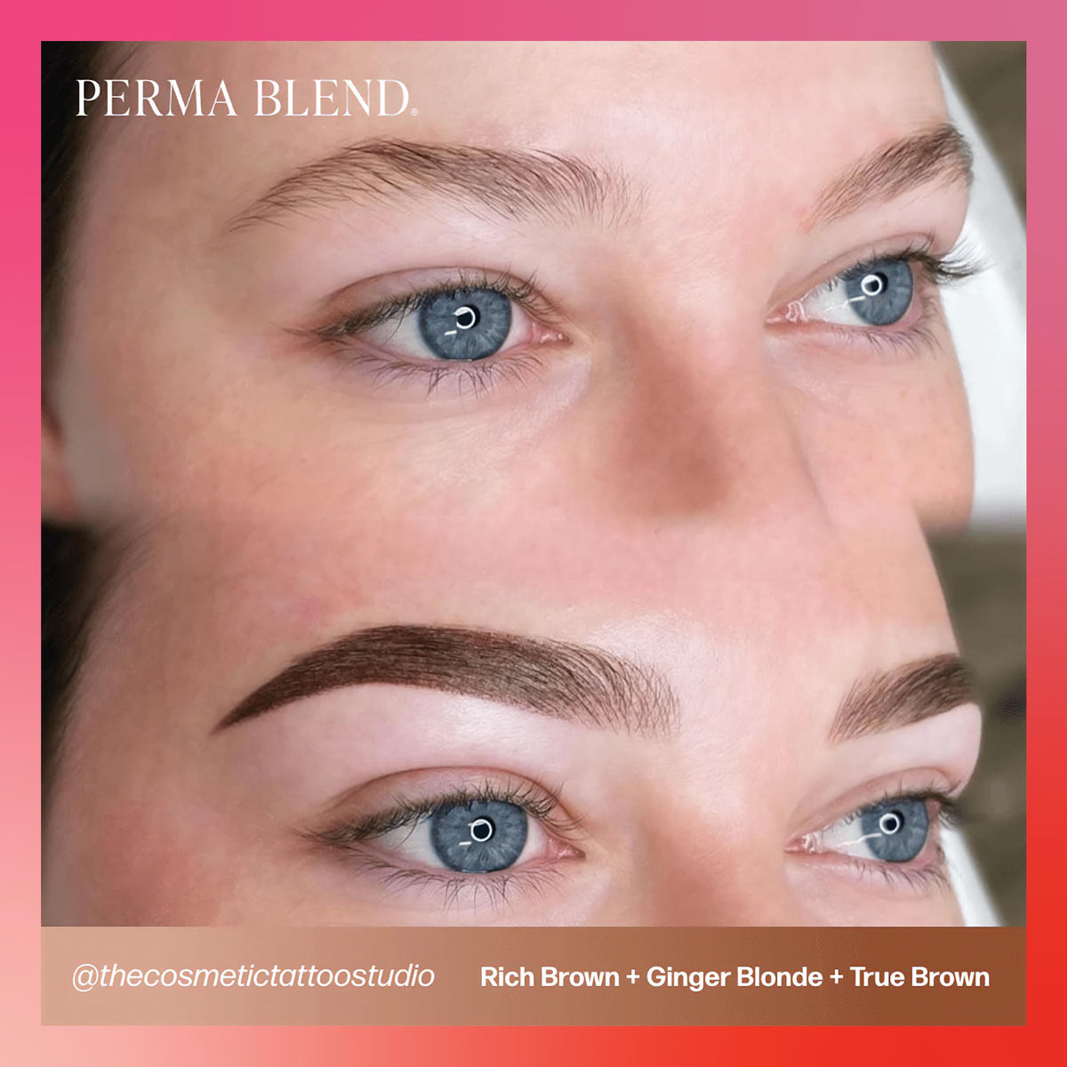 Packaging of Perma Blend brow pigment in half-ounce bottle ready for studio use