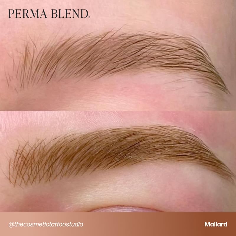 Perma Blend Cool Eyebrow Mini Set blending tones supports precise customization