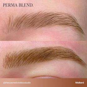 Perma Blend Cool Eyebrow Mini Set blending tones supports precise customization