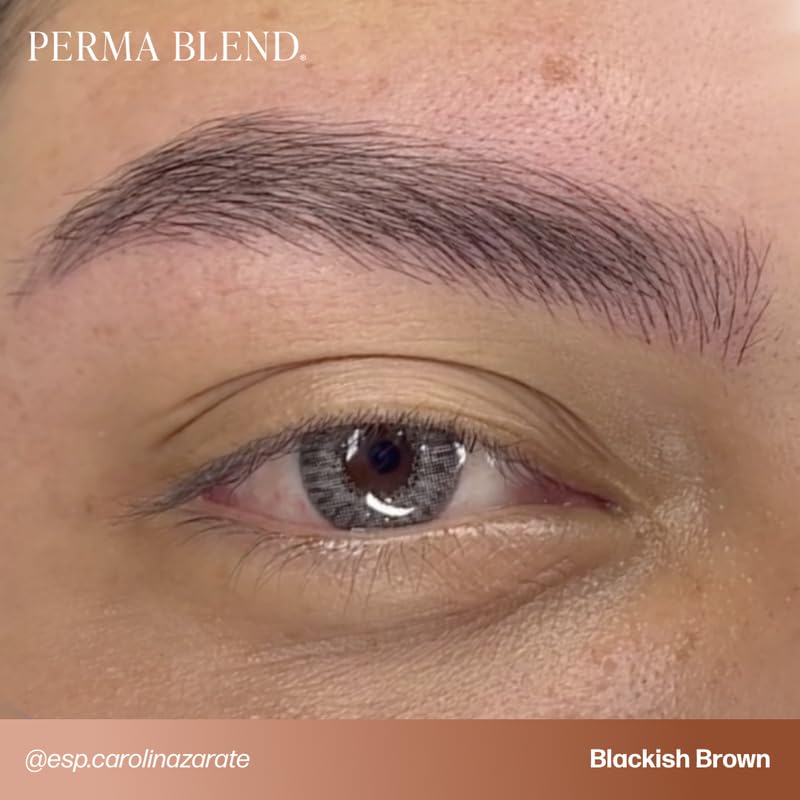 Perma Blend Cool Eyebrow Mini Set eyebrow pigments showcase natural, cool-toned results